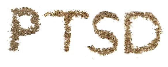 PTSD spelled in textured brown lettering against a white background.
