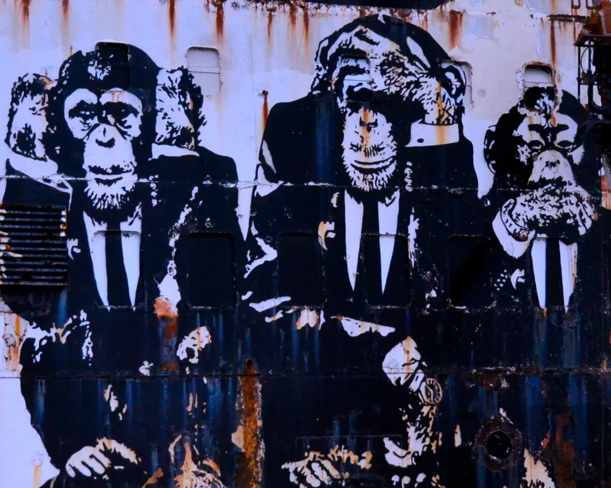 see no evil, hear no evil, say no evil